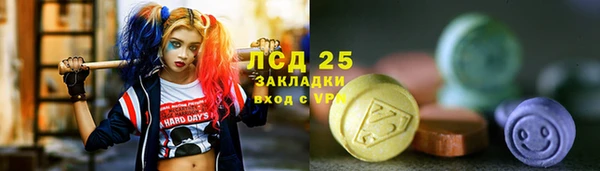 гашик Белокуриха