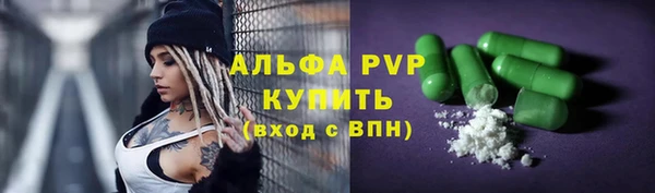 гашик Белокуриха