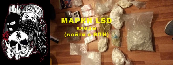 гашик Белокуриха