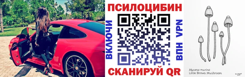 Купить  Новотроицк  Псилоцибиновые грибы мицелий 